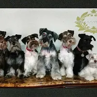 processed/c55e8332-5a28-4631-a0fb-8b1e5ded694c/facility/9430ac7e-2b06-47a9-bb90-e1bcd0388c8b