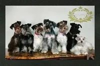 processed/c55e8332-5a28-4631-a0fb-8b1e5ded694c/facility/9430ac7e-2b06-47a9-bb90-e1bcd0388c8b