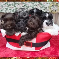 processed/c55e8332-5a28-4631-a0fb-8b1e5ded694c/facility/a23a0d0b-db9e-4f95-a23b-3c8b6d4ec0c2