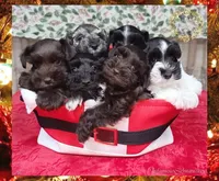 processed/c55e8332-5a28-4631-a0fb-8b1e5ded694c/facility/a23a0d0b-db9e-4f95-a23b-3c8b6d4ec0c2