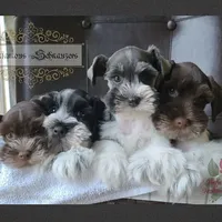 processed/c55e8332-5a28-4631-a0fb-8b1e5ded694c/facility/cd3ac60a-e489-4389-b48a-87d4991e4fb8