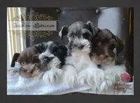 processed/c55e8332-5a28-4631-a0fb-8b1e5ded694c/facility/cd3ac60a-e489-4389-b48a-87d4991e4fb8