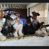 processed/c55e8332-5a28-4631-a0fb-8b1e5ded694c/facility/ed1d4c2a-4dd7-4029-ad12-7a61ebd8f189