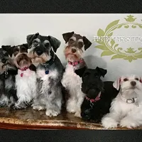 processed/c55e8332-5a28-4631-a0fb-8b1e5ded694c/facility/eec18fb0-b196-4e9d-8314-df55db6be130