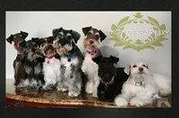 processed/c55e8332-5a28-4631-a0fb-8b1e5ded694c/facility/eec18fb0-b196-4e9d-8314-df55db6be130