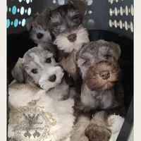 processed/c55e8332-5a28-4631-a0fb-8b1e5ded694c/facility/f1ffa23b-9eae-4ce7-99e3-0b78b35a9fb9