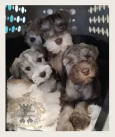 processed/c55e8332-5a28-4631-a0fb-8b1e5ded694c/facility/f1ffa23b-9eae-4ce7-99e3-0b78b35a9fb9