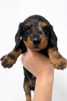 processed/c55f2f8b-b845-4073-8711-f24905757f6b/listing/afa42bc9-559c-4372-b4b2-8b12c38af030/1e089115-81e0-4cf1-970d-4552ed754442