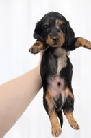 processed/c55f2f8b-b845-4073-8711-f24905757f6b/listing/afa42bc9-559c-4372-b4b2-8b12c38af030/1edf2376-4b13-4b29-8c31-2da90fc08676