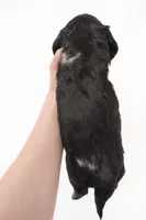 processed/c55f2f8b-b845-4073-8711-f24905757f6b/listing/afa42bc9-559c-4372-b4b2-8b12c38af030/d4585616-3d08-4c59-b782-7b07f1fc0c66