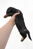 processed/c55f2f8b-b845-4073-8711-f24905757f6b/listing/afa42bc9-559c-4372-b4b2-8b12c38af030/f5641c83-842b-4d31-b7d8-2567d9b5936c