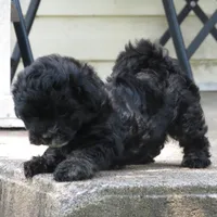 processed/c56cec6c-2c2b-42bf-8216-382c8b4f26d1/facility/28fa06d2-26e0-4162-8099-649c75d2268c