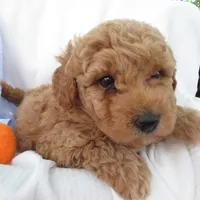 processed/c56cec6c-2c2b-42bf-8216-382c8b4f26d1/facility/2b190641-460c-4903-967d-a6b1b395853f