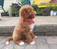 processed/c56cec6c-2c2b-42bf-8216-382c8b4f26d1/facility/3fdc99c0-235c-4d58-abf1-e46f2be32af2