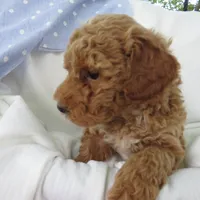 processed/c56cec6c-2c2b-42bf-8216-382c8b4f26d1/facility/4027c2ef-1f53-4124-8496-cf3e58615c11