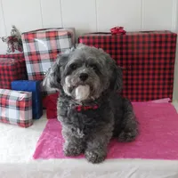 processed/c56cec6c-2c2b-42bf-8216-382c8b4f26d1/facility/506820e5-fb02-4735-aed8-12ab44da447a