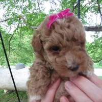 processed/c56cec6c-2c2b-42bf-8216-382c8b4f26d1/facility/557cacf4-cd59-4719-999c-72f717bc1a5e