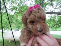 processed/c56cec6c-2c2b-42bf-8216-382c8b4f26d1/facility/557cacf4-cd59-4719-999c-72f717bc1a5e