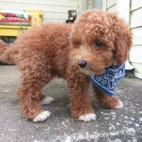 processed/c56cec6c-2c2b-42bf-8216-382c8b4f26d1/facility/62ea376e-a316-4161-b6fc-2ac3839835f7