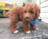 processed/c56cec6c-2c2b-42bf-8216-382c8b4f26d1/facility/62ea376e-a316-4161-b6fc-2ac3839835f7