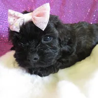 processed/c56cec6c-2c2b-42bf-8216-382c8b4f26d1/facility/c9693a46-b31b-4934-ac62-6972c17fd12e