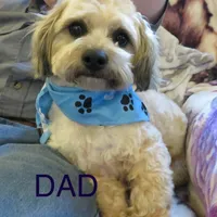 processed/c56cec6c-2c2b-42bf-8216-382c8b4f26d1/facility/ce77b94b-5b68-44f7-99cc-7aa9d01370d9