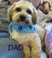 processed/c56cec6c-2c2b-42bf-8216-382c8b4f26d1/facility/ce77b94b-5b68-44f7-99cc-7aa9d01370d9