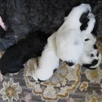 processed/c56cec6c-2c2b-42bf-8216-382c8b4f26d1/facility/e3ea57b4-8fb6-43a3-93a9-4ffd0a97d714