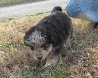 processed/c56cec6c-2c2b-42bf-8216-382c8b4f26d1/listing/44e34716-e2f3-4d9e-9c84-c2b954352cd5/216a9d73-4278-4f68-97de-6de3f85894e4