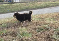 processed/c56cec6c-2c2b-42bf-8216-382c8b4f26d1/listing/44e34716-e2f3-4d9e-9c84-c2b954352cd5/b729e35d-c34b-4dfa-9b7d-f9138ccf04c2