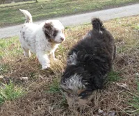 processed/c56cec6c-2c2b-42bf-8216-382c8b4f26d1/listing/44e34716-e2f3-4d9e-9c84-c2b954352cd5/d72da5ae-584f-48eb-badc-32e38cfc304c