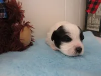 processed/c56cec6c-2c2b-42bf-8216-382c8b4f26d1/listing/f258f280-362a-4d55-acdf-0338eb2fdd6c/48b6e851-976c-4ba9-be46-4b4ac3ff3f80