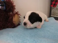 processed/c56cec6c-2c2b-42bf-8216-382c8b4f26d1/listing/f258f280-362a-4d55-acdf-0338eb2fdd6c/5f7be96b-d83b-45c7-a463-47b4915c854a