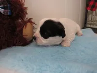 processed/c56cec6c-2c2b-42bf-8216-382c8b4f26d1/listing/f258f280-362a-4d55-acdf-0338eb2fdd6c/73a9f06e-0929-44c5-b623-d25cbe14c724