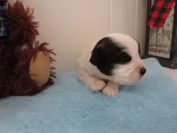 processed/c56cec6c-2c2b-42bf-8216-382c8b4f26d1/listing/f258f280-362a-4d55-acdf-0338eb2fdd6c/9c1c9a15-f83c-4a19-a57a-40df57c37c24