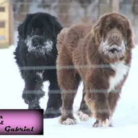 processed/c56e2048-0c1a-4a95-86da-2f09766e70a2/facility/0c69a2c9-b907-46fa-a083-87836697651d