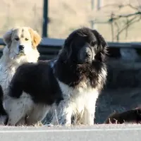 processed/c56e2048-0c1a-4a95-86da-2f09766e70a2/facility/1554cdbd-4b9c-4bbd-bada-4c1161c3e2b2