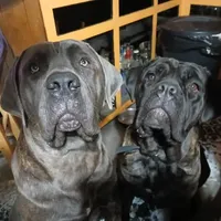 processed/c56e2048-0c1a-4a95-86da-2f09766e70a2/facility/2552cc4a-310b-480c-8a99-540cd49246da