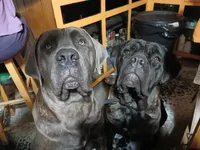 processed/c56e2048-0c1a-4a95-86da-2f09766e70a2/facility/2552cc4a-310b-480c-8a99-540cd49246da