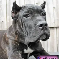 processed/c56e2048-0c1a-4a95-86da-2f09766e70a2/facility/2f0c9c51-adf5-49d6-acd2-f4250d24306d