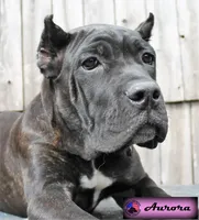 processed/c56e2048-0c1a-4a95-86da-2f09766e70a2/facility/2f0c9c51-adf5-49d6-acd2-f4250d24306d