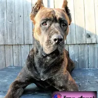 processed/c56e2048-0c1a-4a95-86da-2f09766e70a2/facility/463e9a36-73bb-4d2e-8fff-539a722f0e9f