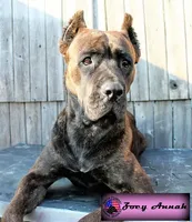 processed/c56e2048-0c1a-4a95-86da-2f09766e70a2/facility/463e9a36-73bb-4d2e-8fff-539a722f0e9f