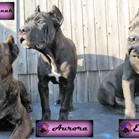 processed/c56e2048-0c1a-4a95-86da-2f09766e70a2/facility/8b3289a7-94b1-406f-b129-e0ed398b83de