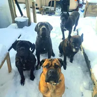 processed/c56e2048-0c1a-4a95-86da-2f09766e70a2/facility/98f2de82-39b8-422a-a7eb-15822f7789e5