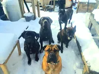 processed/c56e2048-0c1a-4a95-86da-2f09766e70a2/facility/98f2de82-39b8-422a-a7eb-15822f7789e5