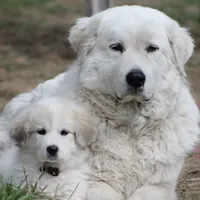 processed/c56e2048-0c1a-4a95-86da-2f09766e70a2/facility/fa50c784-d757-466a-b9c7-cbbd70cf424b