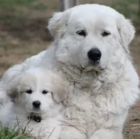 processed/c56e2048-0c1a-4a95-86da-2f09766e70a2/facility/fa50c784-d757-466a-b9c7-cbbd70cf424b