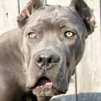 processed/c56e2048-0c1a-4a95-86da-2f09766e70a2/facility/fc4c08f4-3b57-4f5b-b9a1-94521e4577d7