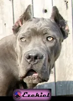 processed/c56e2048-0c1a-4a95-86da-2f09766e70a2/facility/fc4c08f4-3b57-4f5b-b9a1-94521e4577d7